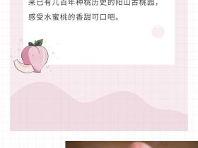 体验桃文化 感受新农村:2022“亲情中华·为你讲故事”江苏网上常规营无锡段惠山主场即将开启