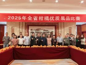 2025年度福建省柑橘优质果品比赛成功举办
